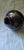 Gorgeous Vintage Brown & Tan Marble Vase For Sale - Image 4 of 4