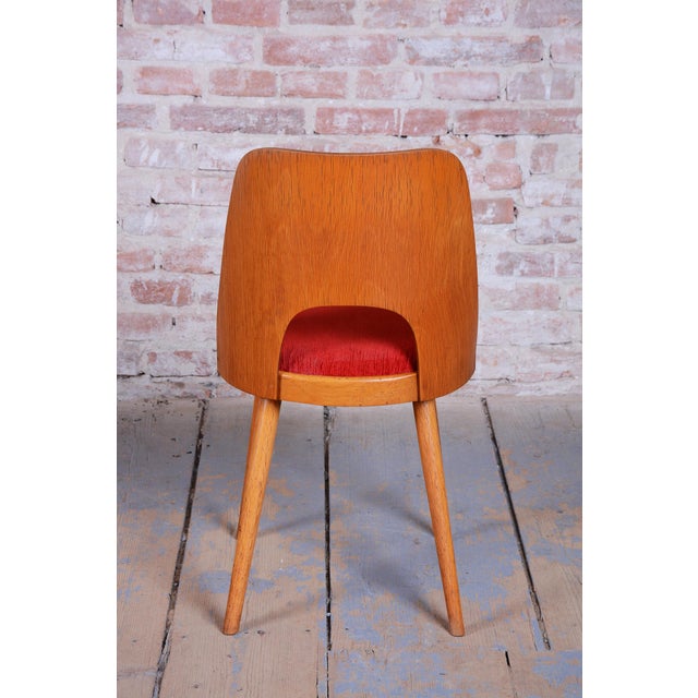Mid-Century Beech Chairs by O. Haerdtl, Czech, 1950s, Set of 4 For Sale - Image 13 of 18
