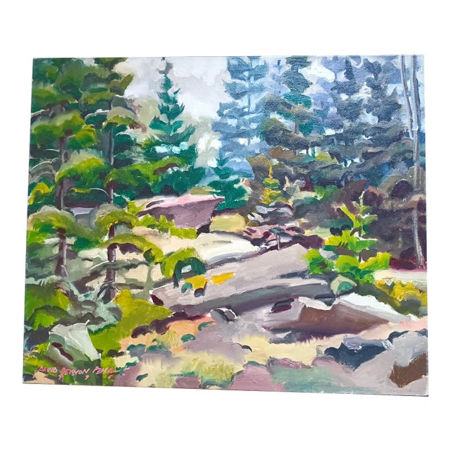 Walking Through Deep Dark Woods Over Granite Rocks Original Oil Painting by David Beynon Pena For Sale