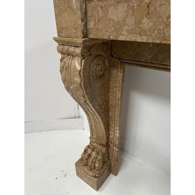 Napoleon III Fireplace with Claw Feet in Speckled Marble, 1800s For Sale - Image 14 of 18