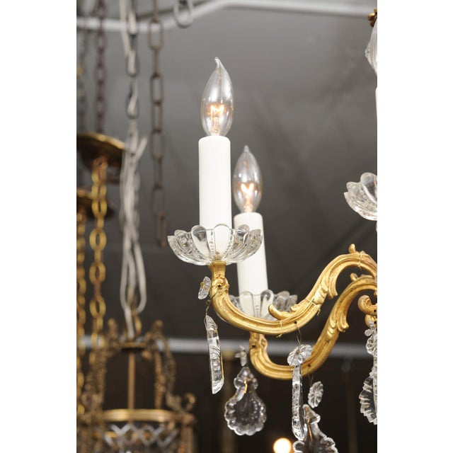French Petite Gilt Bronze & Crystal Louis XV Style Chandelier, 1930s France For Sale - Image 3 of 13