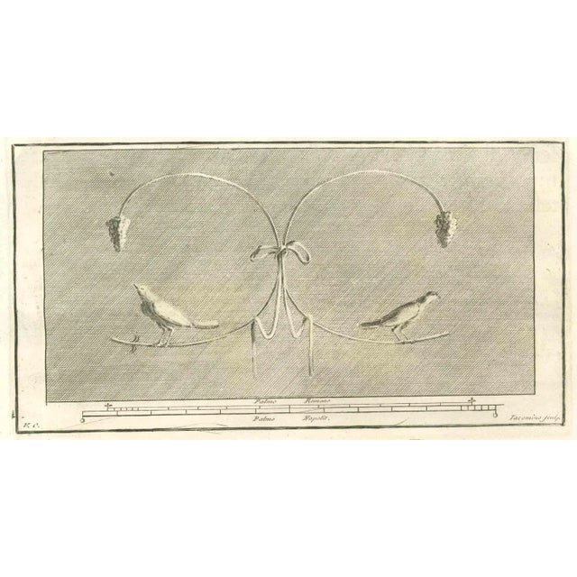 Birds Decorative Fresco from "Antiquities of Herculaneum" is an etching on paper realized by Marcant Iacomino in the 18th...