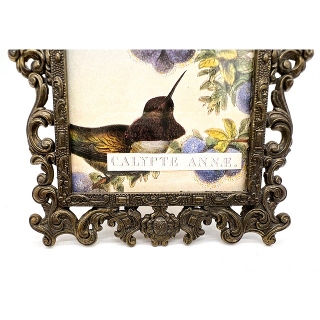 Bronze Vintage Italian Ornate Cast Metal Picture Frame With Hummingbird Print | Hollywood Regency, Rococo Style For Sale - Image 8 of 10