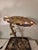 Hollywood Regency Brass Bonsai Lamp from Maison Jansen, 1975 For Sale - Image 3 of 10