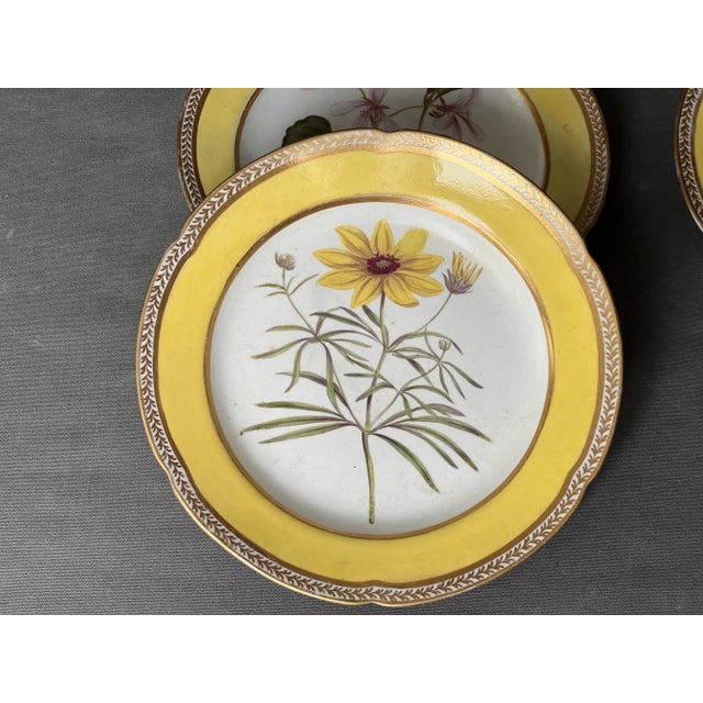 Porcelain Plates with Hand-Painted Botanical Theme from Royal Crown Derby, 18th Century, Set of 3 For Sale - Image 5 of 11