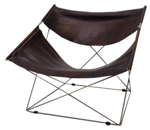 F675 Butterfly Lounge Chair by Pierre Paulin for Artifort, 1960s