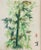 Mid 20th Century Antique Chinese Botanical Painting, Bamboo Plant For Sale - Image 5 of 6