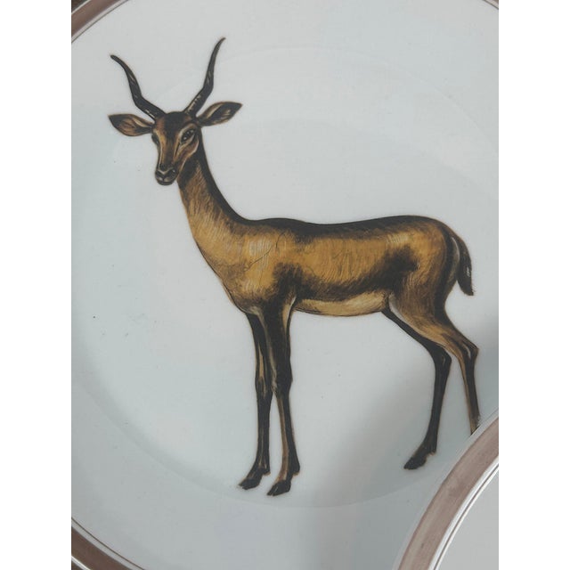 Ceramic 1980's Vintage Mottahedeh Exotic Animals Dinner Plates - Set of 5 For Sale - Image 7 of 11