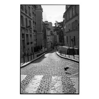 Paul Cooklin, Pigeon Crossing, Paris, Edition of 50 For Sale