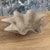 Midcentury Swiss Willy Guhl Planter For Sale In Wichita - Image 6 of 12