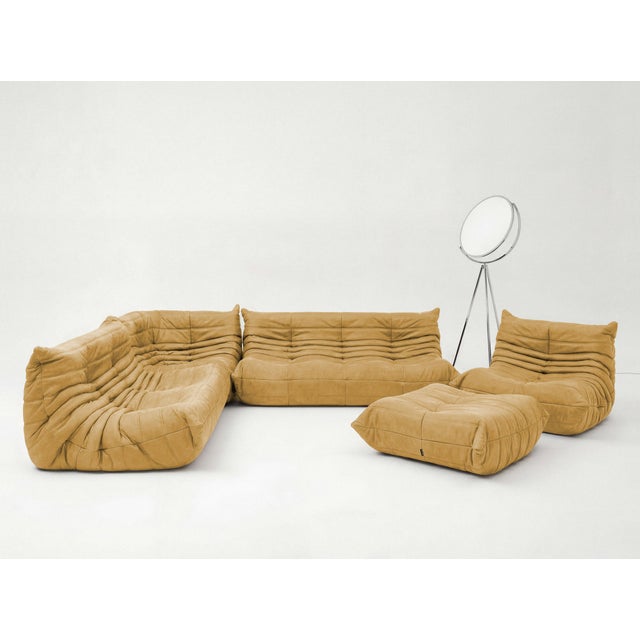 Togo Sofa in Curry Microfiber by Michel Ducaroy for Ligne Roset, Set of 5 For Sale - Image 12 of 12