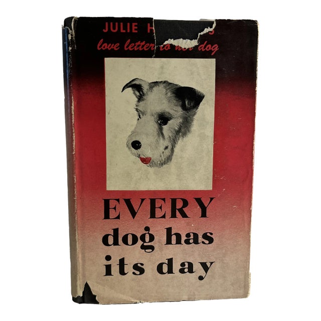 1945 Every Dog Has Its Day Book For Sale