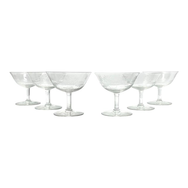 1910s Antique Fostoria “Lotus” 6 Etched Optic Coupe Champagne Glasses For Sale