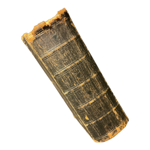 St. John's Manual: A Guide to the Public Worship and Services of the Catholic Church Circa 1856
