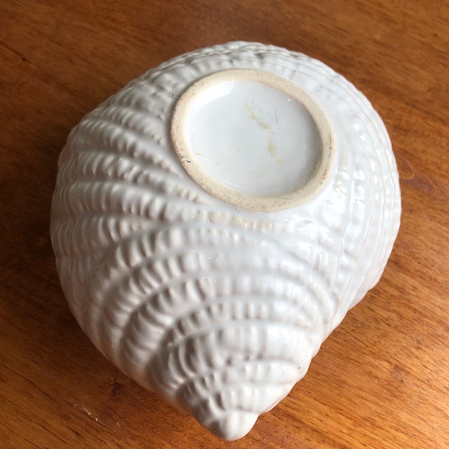 Late 20th Century Pearl White Conch Shells Cachepots Set of 2 Chairish