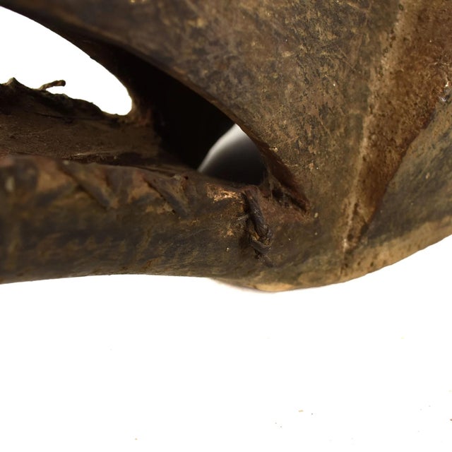 Early 20th Century Dan Guerre Guere Bird Mask Cote d'Ivoire For Sale - Image 9 of 9