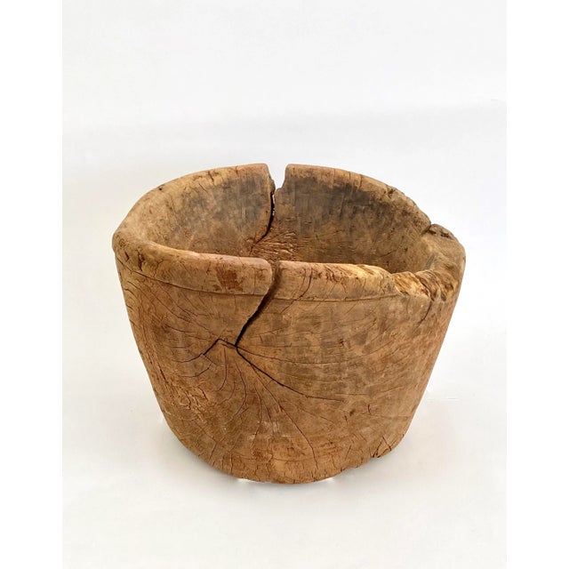 1930s Vintage Rustic Tree Trunk Planter For Sale - Image 5 of 7