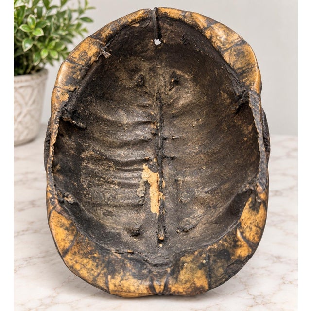 Striking vintage Tibetan/Himalayan Buddhist-inspired ceremonial mask featuring elaborate metalwork and dramatic...