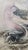 Real Antique Mermaid Oil Painting For Sale In New York - Image 6 of 11