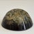 Vintage Botanical Resin Paperweight With Pressed Queen Anne's Lace For Sale - Image 12 of 17