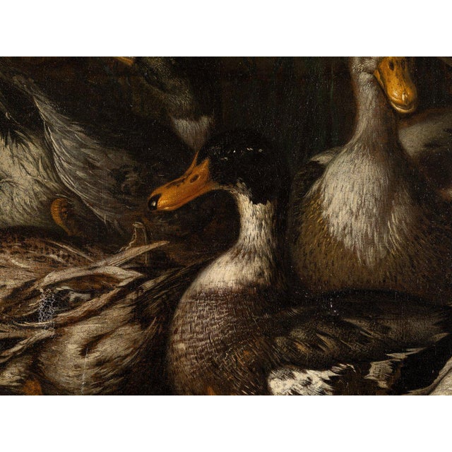 School of Monsù Aurora, Still Life with Ducks, 19th Century, Oil on Canvas For Sale - Image 4 of 5