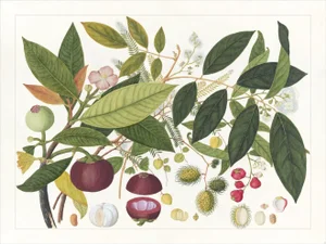 Golden Tropic Botanicals Plate #2, Giclée Print