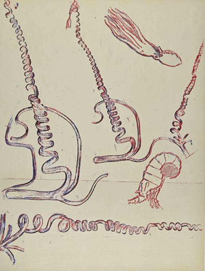 Max Ernst, Pink Composition, Lithograph, 1974