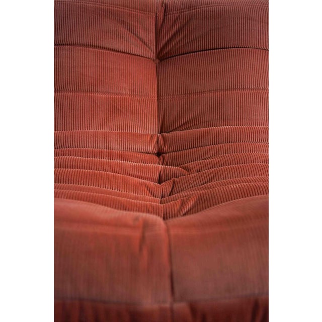 Coral Corduroy Togo Three-Seat Sofa by Michel Ducaroy for Ligne Roset For Sale - Image 9 of 12