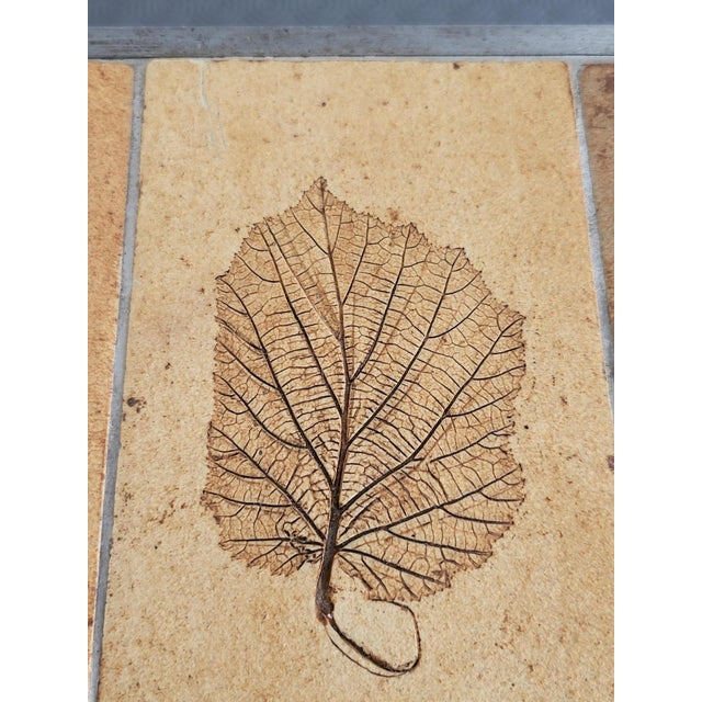 1970s French Riviera Herbarium Coffee Table by Roger Capron, 1970 For Sale - Image 5 of 18