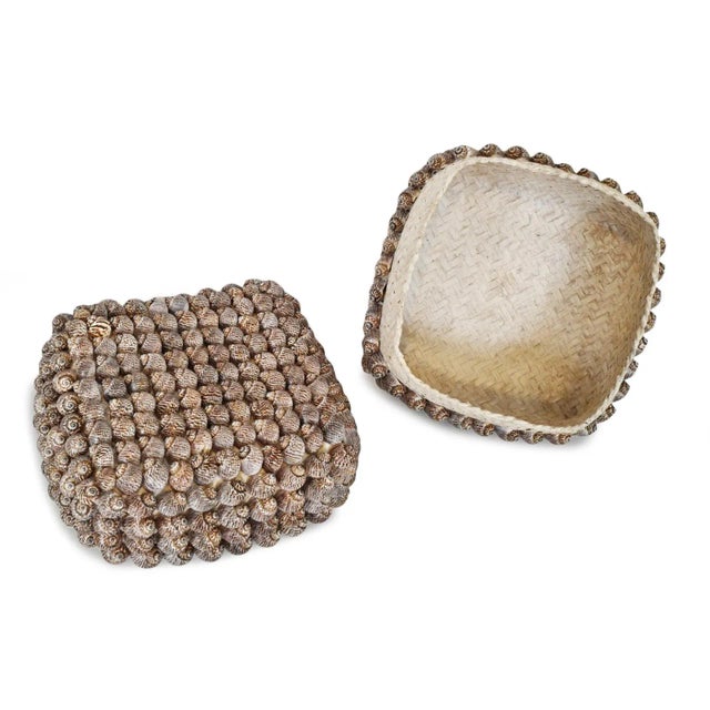 Coastal Vintage Coastal Bali Shell Box Large For Sale - Image 3 of 7