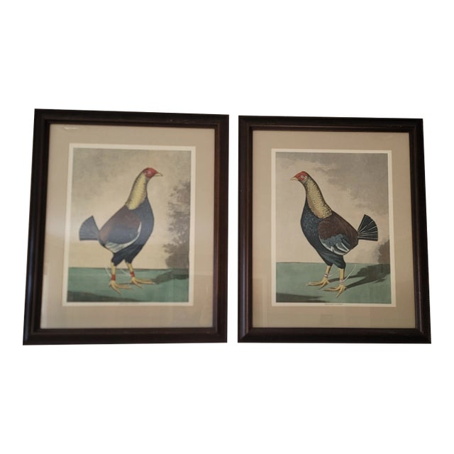 Rooster-Late 19th Century Cr Stock Lithograph - Cockerel Rooster - Set of 2 For Sale