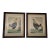 Rooster-Late 19th Century Cr Stock Lithograph - Cockerel Rooster - Set of 2 For Sale