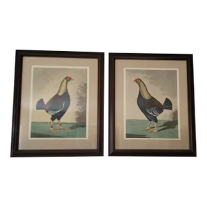 Rooster-Late 19th Century Cr Stock Lithograph - Cockerel Rooster - Set of 2