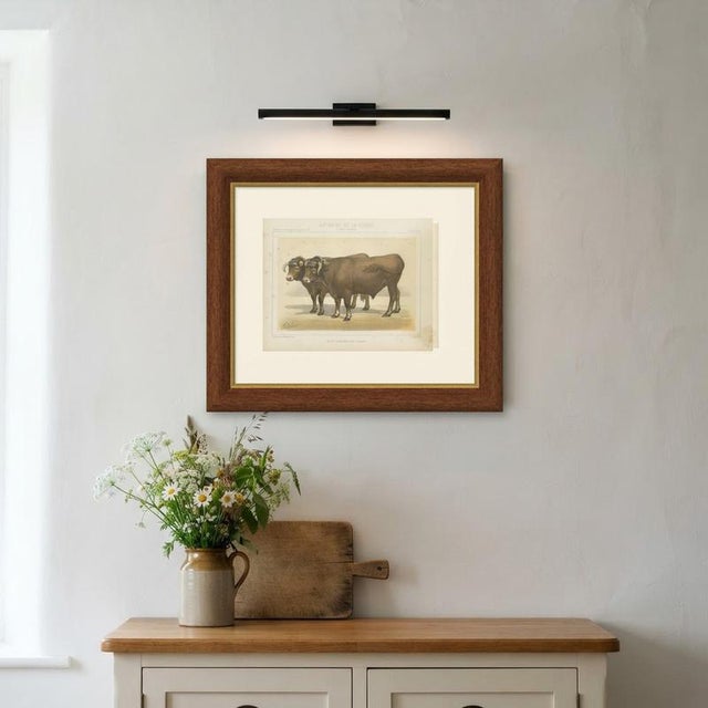 Paper Borie, Garonnais Oxen, French Cattle Breed, 1863, Chromolithograph For Sale - Image 7 of 9