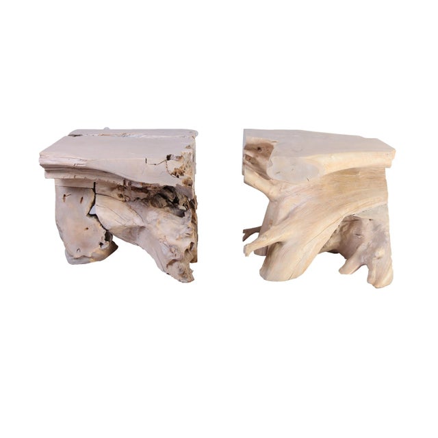 Organic Modern Sculptured Teak Root Coffee Table Base - 2 Pieces For Sale - Image 4 of 7
