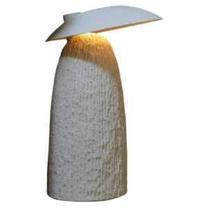 Doma Table Lamp by Frederic Saulou