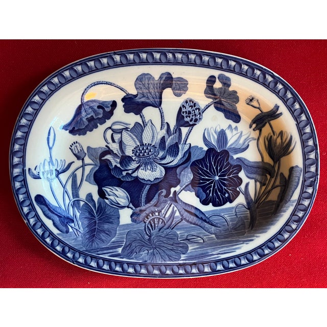 English Antique Early 19th Century Wedgwood Creamware Blue & White Botanical Platter in the Darwin Water Lily Pattern Circa 1825 For Sale - Image 3 of 12