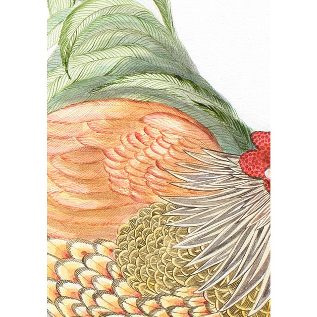 2020s The Plot Chickens Painting-Chicken Rooster Farm Art For Sale - Image 5 of 6