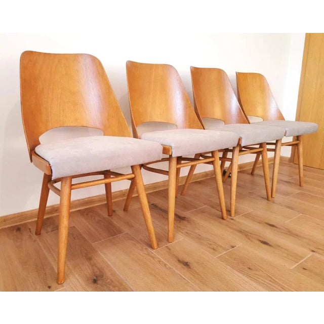 Mid-Century Modern Mid-Century Dining Chairs by Oswald Haerdtl for Drevopodnik Holesov, Set of 4 For Sale - Image 3 of 7