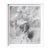 Daniel Ketelhut, "Graphite Study for Letting Go", Abstract Drawing, Framed For Sale