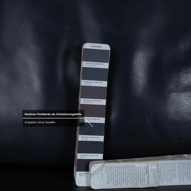 Animal Skin Model 3300 3-Seater Sofa in Black Leather from Rolf Benz For Sale - Image 7 of 12