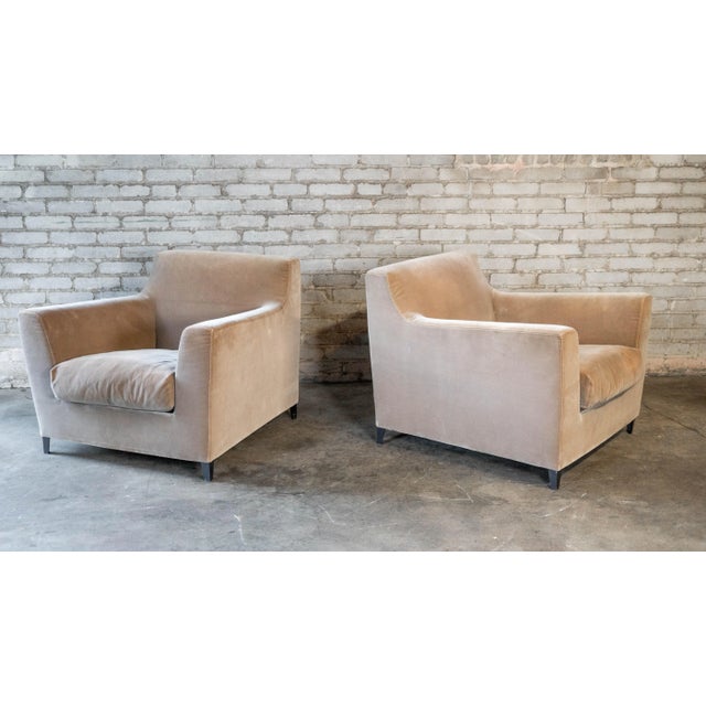Tan 2000s Ligne Roset Velvet 'Rive Droite' Chairs by Didier Gomez - A Pair For Sale - Image 8 of 18