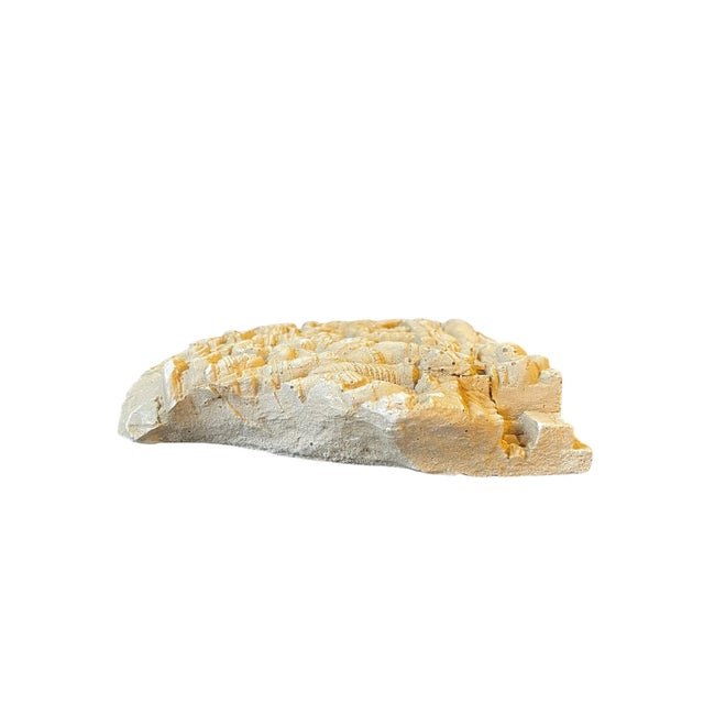 Early 20th Century Early 20th Century Camboidian Temple Molding Sculptural Wall Art For Sale - Image 5 of 13