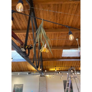 Wistful by Ashley Folkner | Mixed Media Artwork of hanging leaves and flowers. For Sale