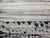 18.9" by 14.2" Emotional Topography — Horizon (No. 1) - Original Black and White Abstract Seascape, Oil Painting / Abstraction - Unframed For Sale - Image 6 of 13