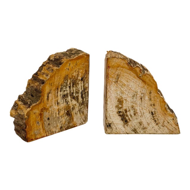 Vintage Sculptural Petrified Wood Bookends - A Pair For Sale