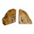 Vintage Sculptural Petrified Wood Bookends - A Pair For Sale