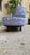 Model Bull 2-Seater Sofa by Gianfranco Frattini for Cassina, 1970s For Sale - Image 14 of 18