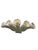 American Wedgwood Williamsburg Restoration Five Finger Ceramic Posey Holder For Sale - Image 3 of 5
