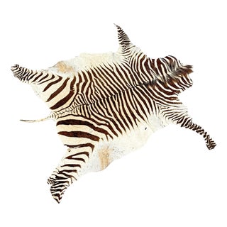 Vintage Zebra Hide Rug, 1950s For Sale